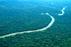 Fundo Amazônia bate recorde histórico no semestre com aprovações de R$ 1,2 bilhão