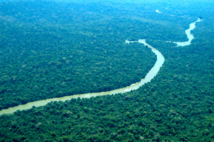 Amazônia: fundo busca reduzir efeito estufa, associado ao desmatamento (Governo Federal/Divulgação)