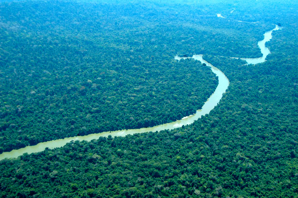 STF determina que o governo federal reative o Fundo Amazônia em até 60 dias