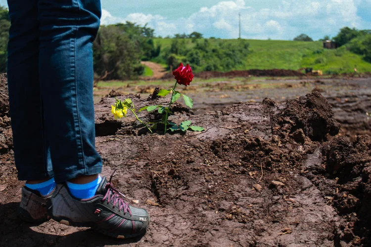 Brumadinho: nesta quinta-feira, 25, completam-se seis meses da tragédia que matou 248 pessoas (Rodney Costa/Getty Images)