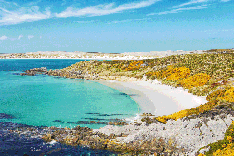 Ilhas Malvinas: governo local acredita que voo do Brasil ajudará no desenvolvimento do turismo (Cheryl Ramalho/Getty Images)