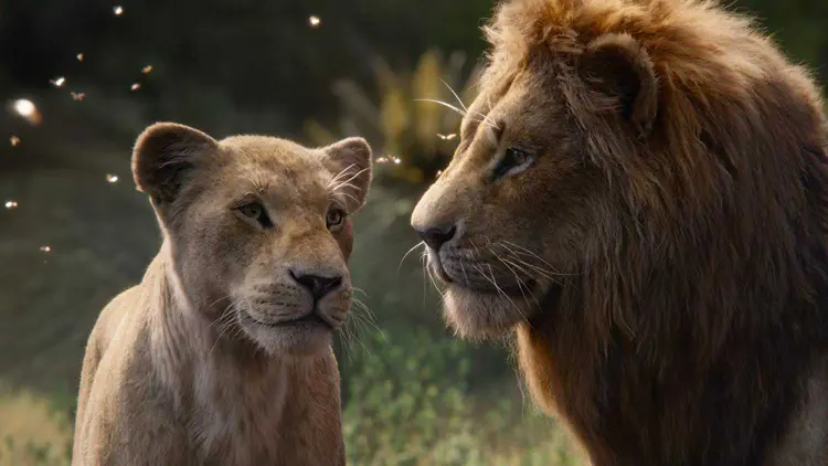 O Rei Leão: nova versão do clássico da Disney chega aos cinemas brasileiros (Disney/Divulgação)