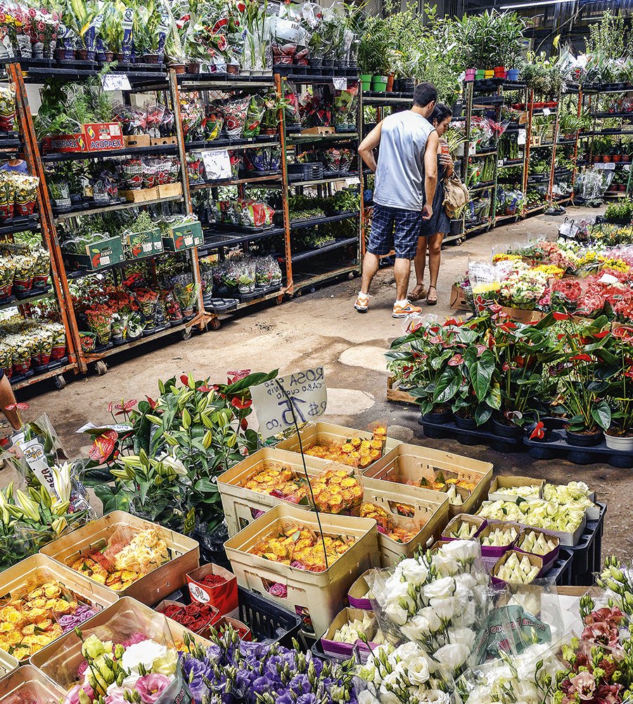 Floricultura internacional