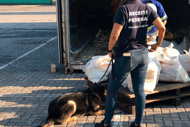 Recita Federal: órgão apreendeu carga de drogas no Porto de Santos (Receita Federal/Divulgação)