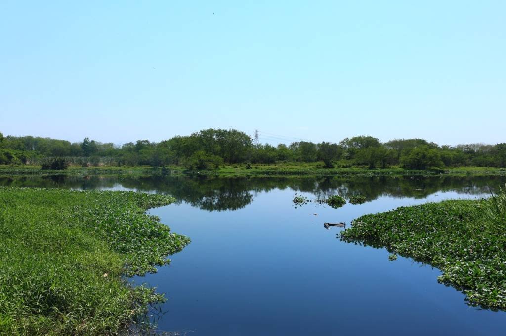 Milícias avançam sobre reserva ambiental no Rio de Janeiro