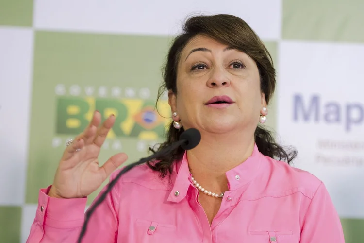 Katia Abreu: senadora, que era símbolo da retórica antiambiental, afirmou que "evoluiu" (Marcelo Camargo/Agência Brasil)