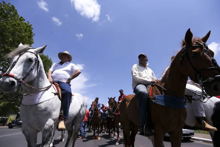 Vaquejadas: rodeio, vaquejada e laço foram reconhecidos como expressões esportivas e culturais do patrimônio cultural brasileiro (Marcelo Camargo/Agência Brasil)