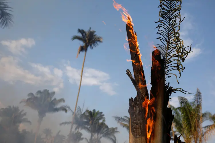 Queimadas: governo proibiu queimadas durante 120 dias (Bruno Kelly/Reuters)