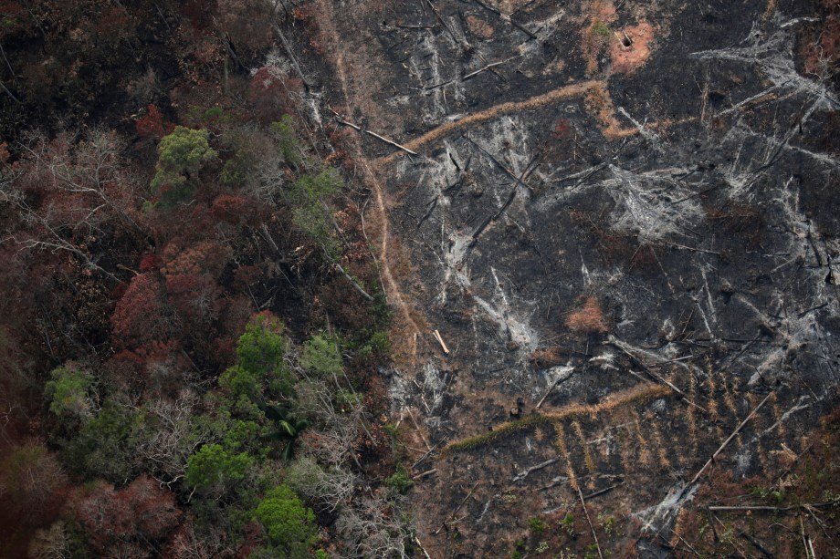 Incêndio na Amazônia próximo a Porto Velho, Rondônia.