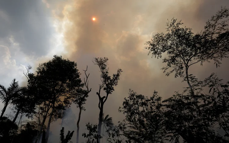 Queimadas: há semanas, fogo consome partes da floresta amazônica (Ricardo Moraes/Reuters)
