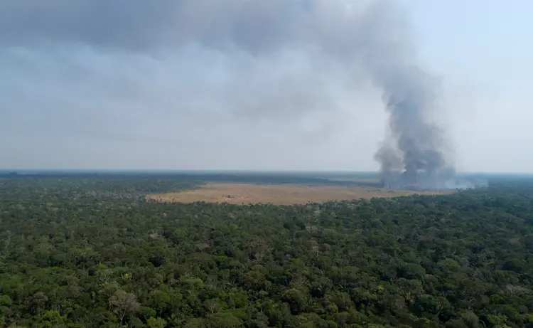 Amazônia: país é foco do debate mundial sobre o meio ambiente em meio a alta nos números de queimadas e desmatamentos (Ueslei Marcelino/Reuters)
