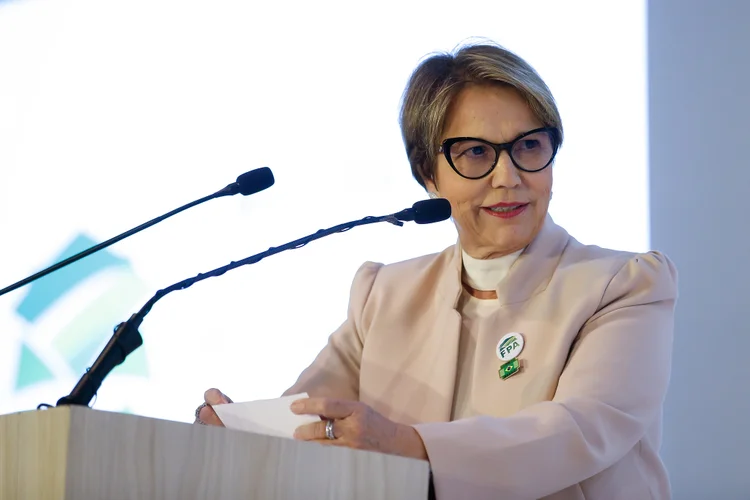 Teresa Cristina: "Esse dado precisava ter sido mais bem trabalhado para ser colocado à disposição de todos" (Alan Santos/PR/Reprodução)