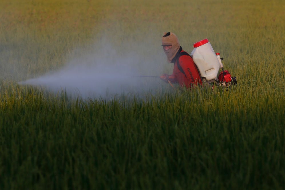 Ministério da Agricultura registra 55 defensivos agrícolas, incluindo produtos biológicos