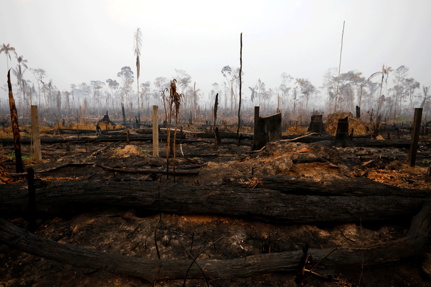 Cientistas alertam para incêndios mais intensos na Amazônia