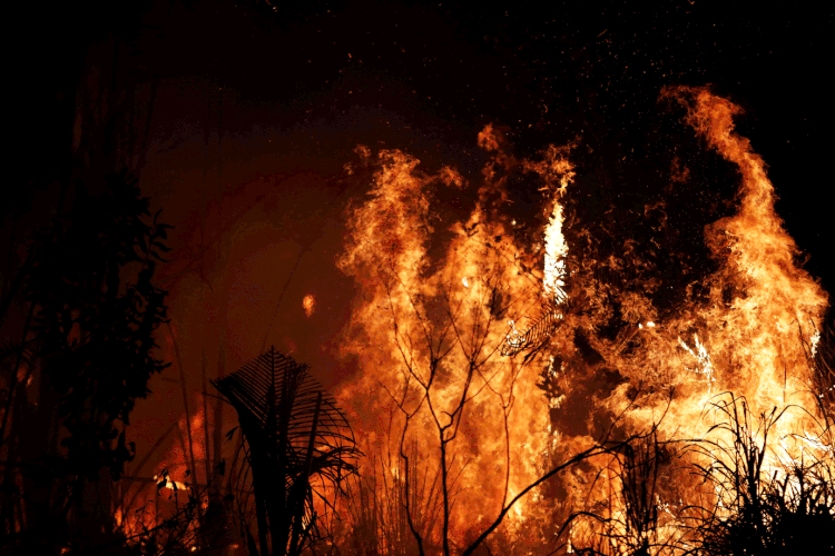 Amazônia: floresta é alvo de incêndios há dias e tem chamado atenção da comunidade internacional (Nacho Doce/Reuters)