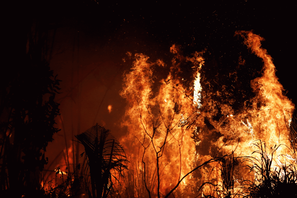 Amazônia: floresta é alvo de incêndios há dias e tem chamado atenção da comunidade internacional (Nacho Doce/Reuters)