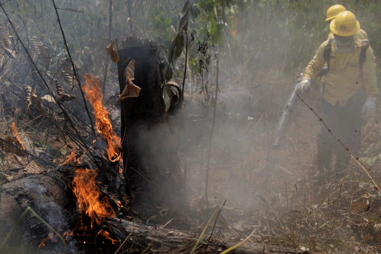 Incêndios: há semanas, região amazônica é tomada por queimadas (Ricardo Moraes/Reuters)