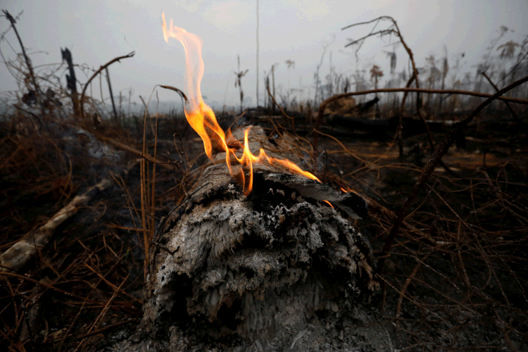 Amazônia: floresta tem incêndios constantes há semanas (Bruno Kelly/Reuters)