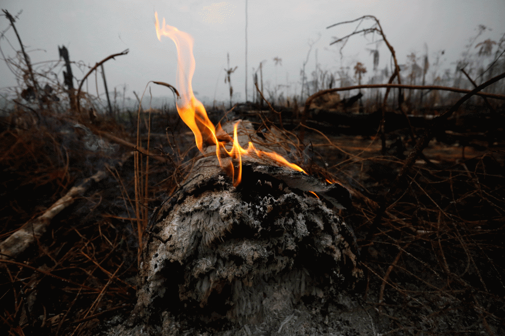 Polícia identifica suspeitos de provocar queimadas na Amazônia