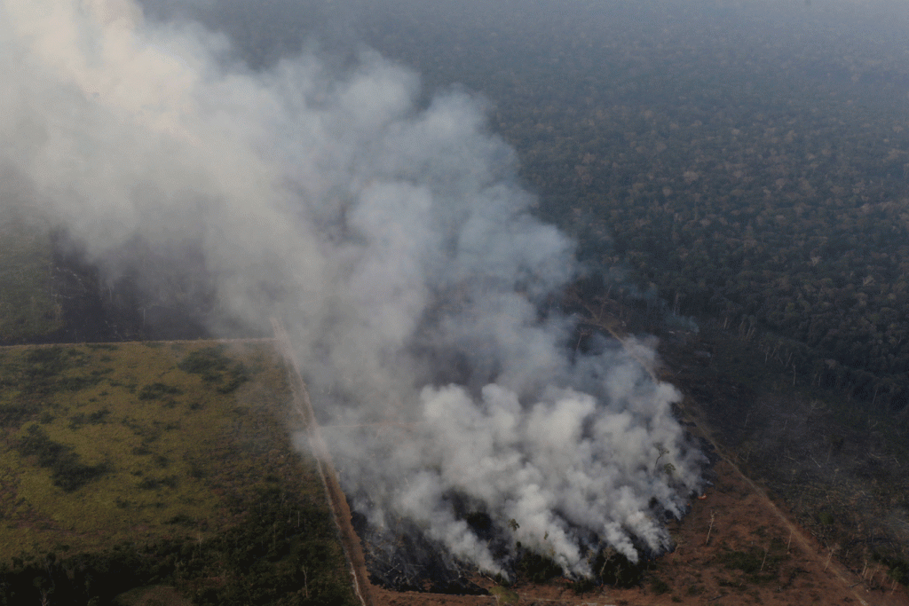 ONU e Greta Thunberg dizem estar preocupados com incêndios na Amazônia