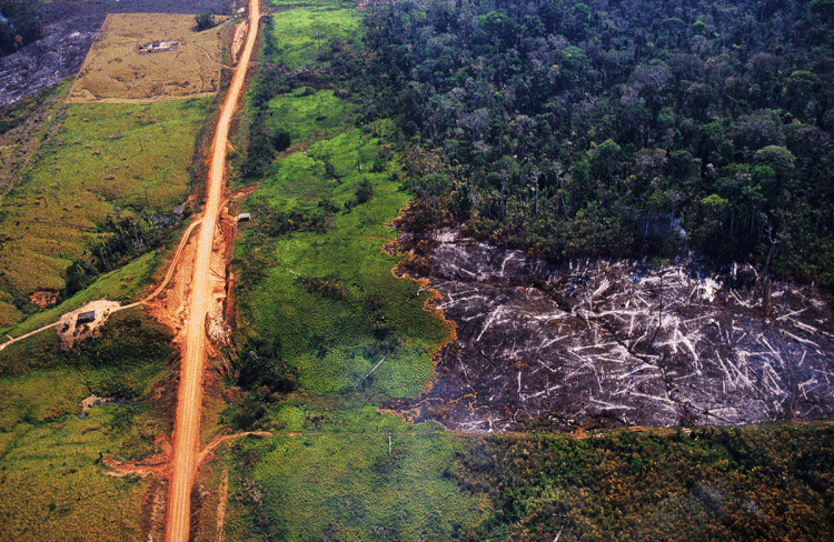 Queimadas: governo reforçou o orçamento do Ministério do Meio Ambiente com um crédito suplementar de R$ 428 mil (UniversalImagesGroup / Colaborador/Getty Images)