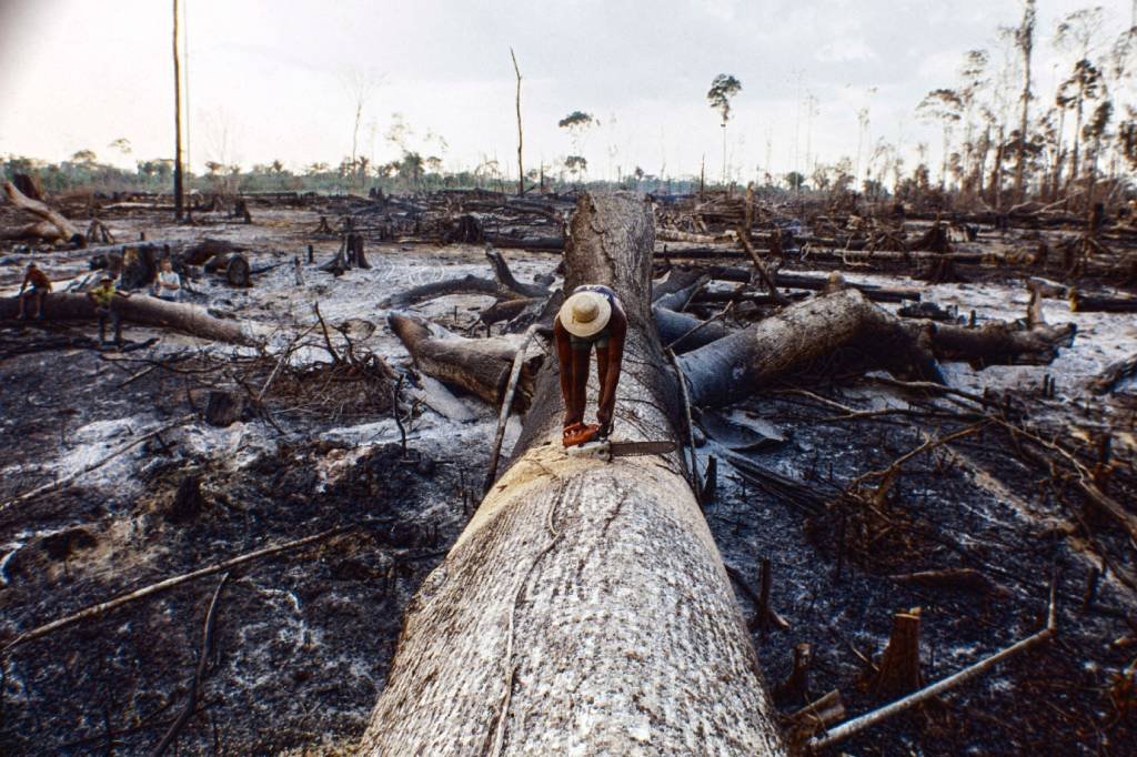 Incêndios na Amazônia geralmente são feitos para 'limpar' a terra para agropecuária (Ricardo Funari/Getty Images)