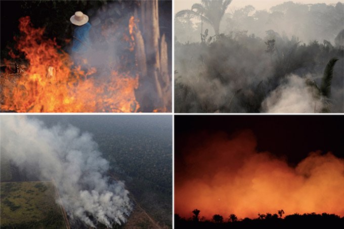 Inferno na floresta: o que sabemos sobre os incêndios na Amazônia