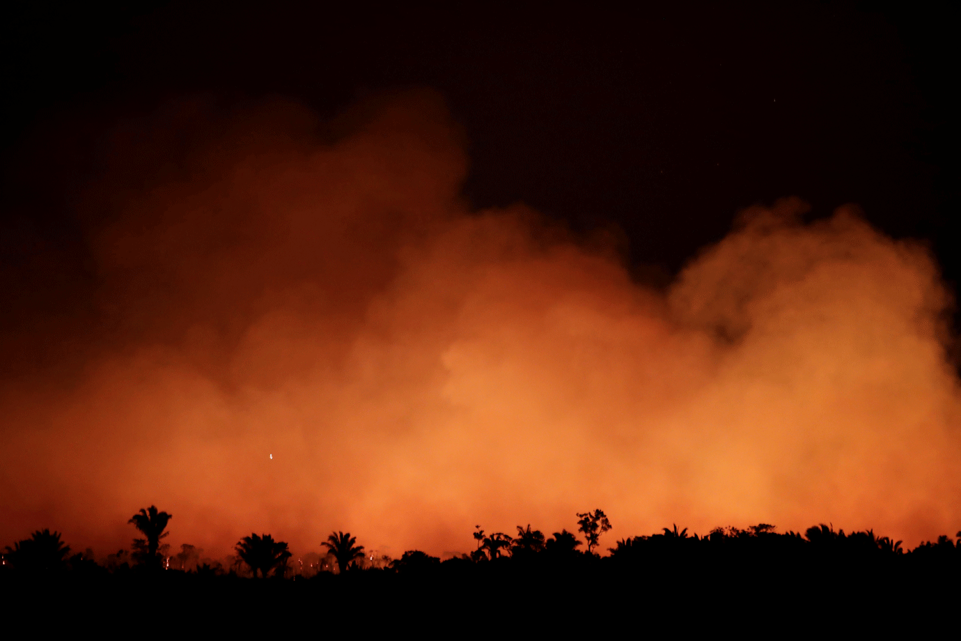 Queimadas quadruplicam em assentamento mais incendiado do Pará