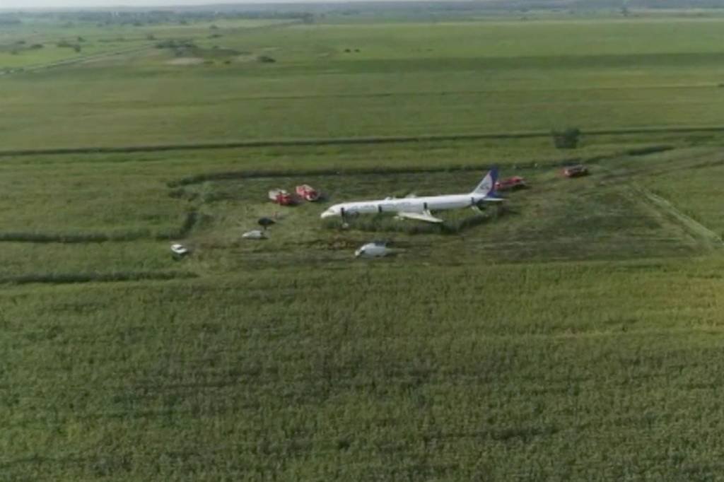 Avião com 200 a bordo pousa em milharal após se chocar contra pássaros