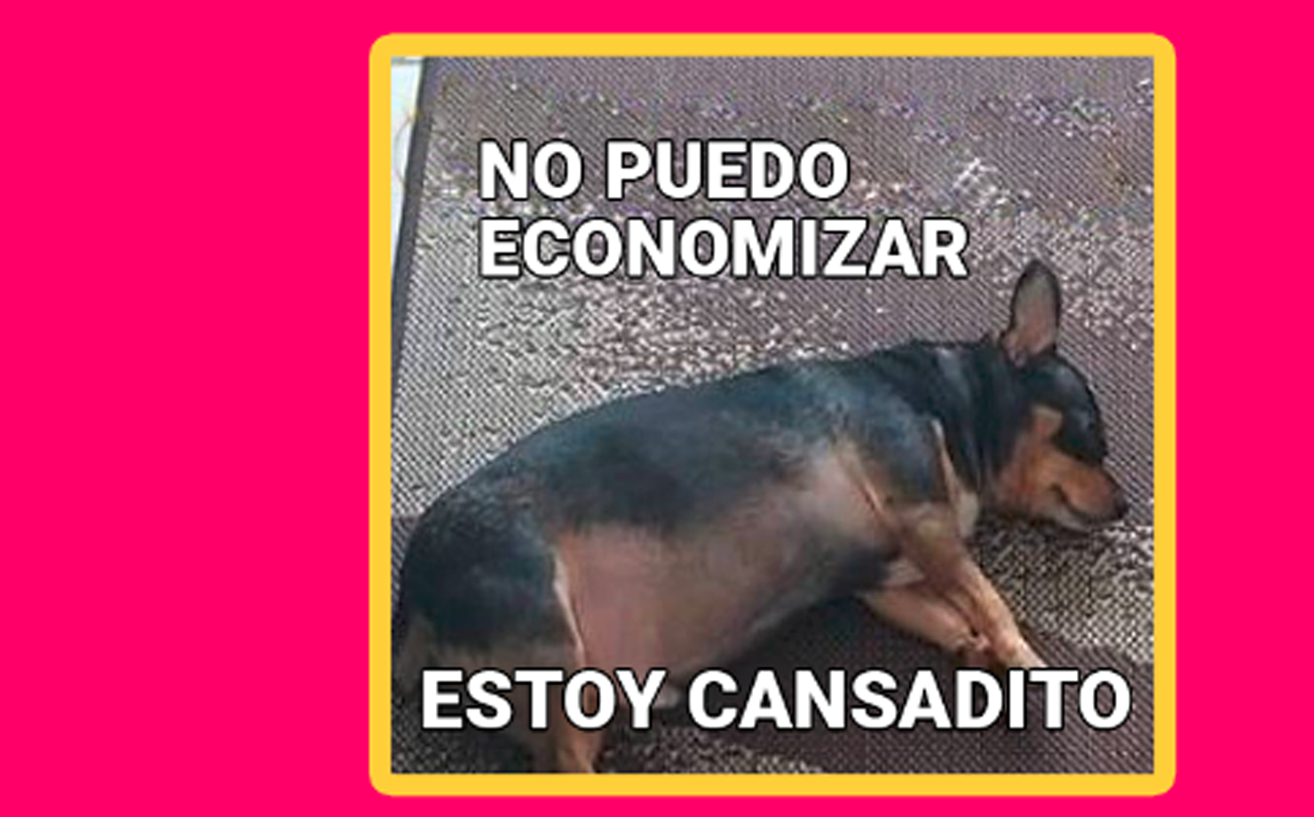 Exibido, "deixa a vida te levar" ou organizado nas finanças? Faça o quiz