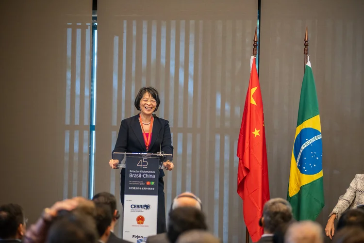 Chen Taotao, em palestra no Centro Brasileiro de Relações Internacionais (Cebri): "Se o Brasil e a China tiverem um relacionamento bom e estável entre os seus governos, isso vai ajudar as empresas chinesas a investir mais" (Mapa Fotografia/CEBRI/Divulgação)