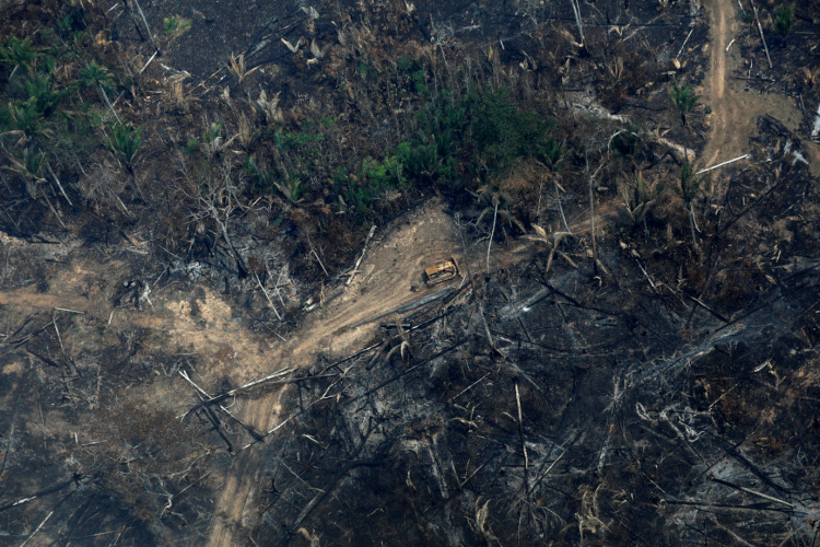 Desmatamento: Brasil perdeu 89 milhões de hectares de áreas nativas (Bruno Kelly/Reuters)