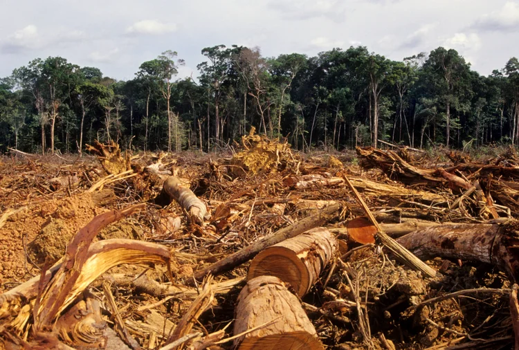 Amazônia: Itamaraty publicou um comunicado em resposta ao anúncio do G7 (luoman/Getty Images)