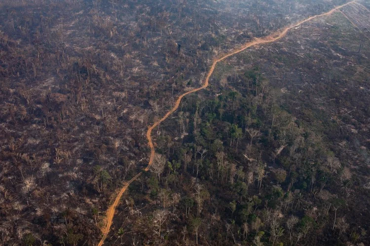 Amazônia: os incêndios na floresta amazônica ganharam repercussão internacional (Victor Moriyama/Getty Images)