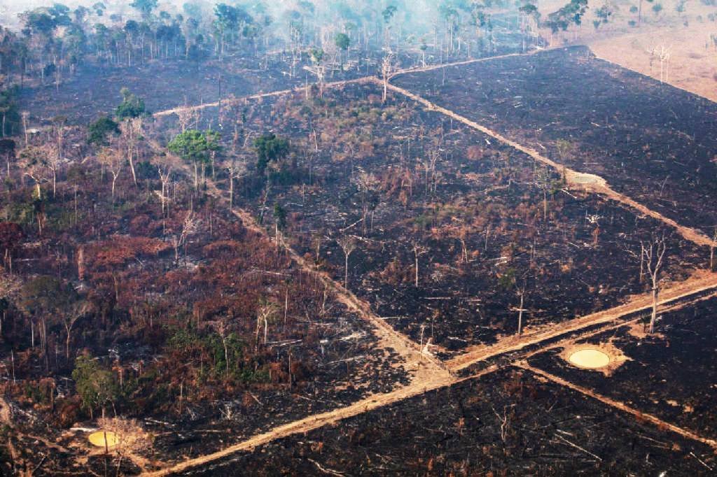 Câmara e Senado propõem R$ 1 bi de fundo da Lava Jato para Amazônia