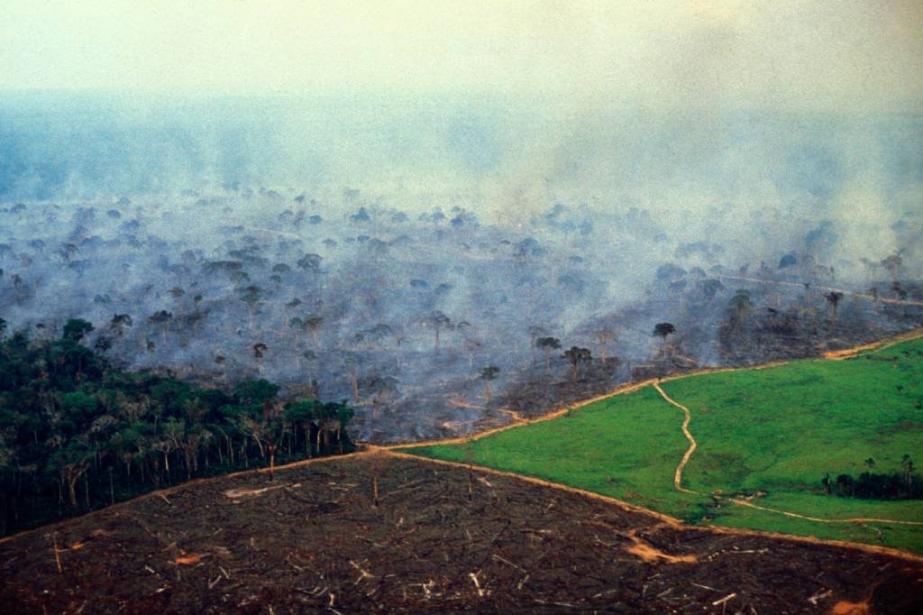 Desmatamento: número de focos de queimadas já é o maior dos últimos sete anos (Getty Images/Ricardo Funari)