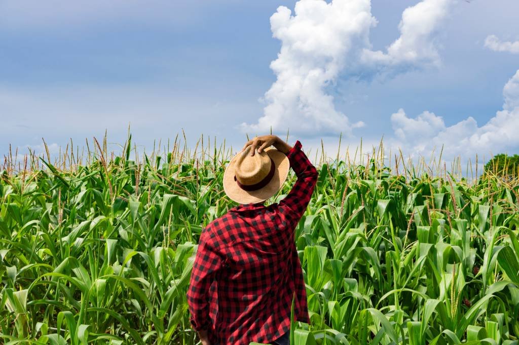 Começa hoje prazo para entrega da declaração de propriedade rural