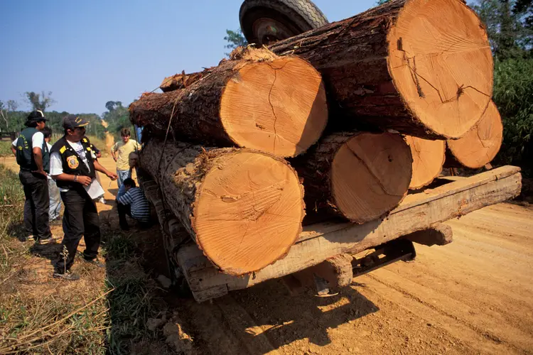 Desmatamento: em carta, ministros pedem combate a retirada de árvores da Amazônia (Ricardo Beliel/Getty Images)