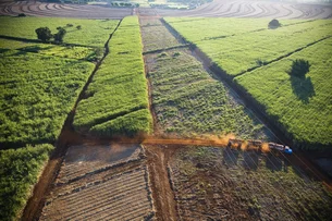 Ribeirão Preto recebe maior conferência de agronegócio do mundo
