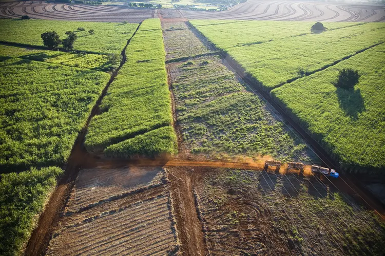 ONU: o uso da bioenergia pode ajudar a limitar o aquecimento global a 1,5ºC ou bem abaixo de 2ºC nas próximas décadas (Brazil Photos / Colaborador/Getty Images)