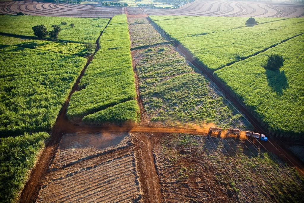 ONU: o uso da bioenergia pode ajudar a limitar o aquecimento global a 1,5ºC ou bem abaixo de 2ºC nas próximas décadas (Brazil Photos / Colaborador/Getty Images)