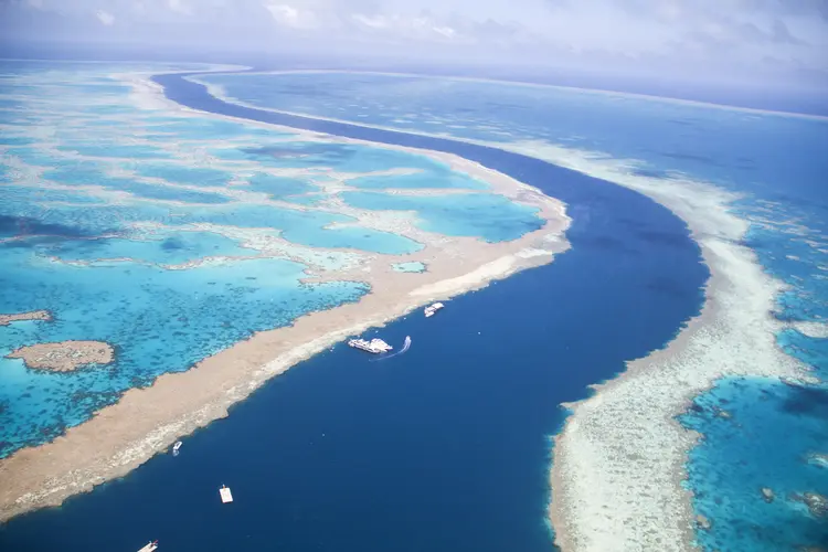 Aquecimento global impacta barreira de corais, na Austrália (Maerie/Getty Images)