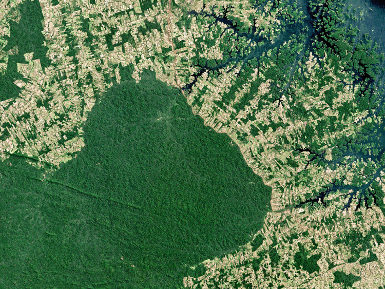 Desmatamento: Amazônia perdeu área equivalente a dois estados do Rio de Janeiro entre agosto de 2018 e julho de 2019 (Getty/Getty Images)