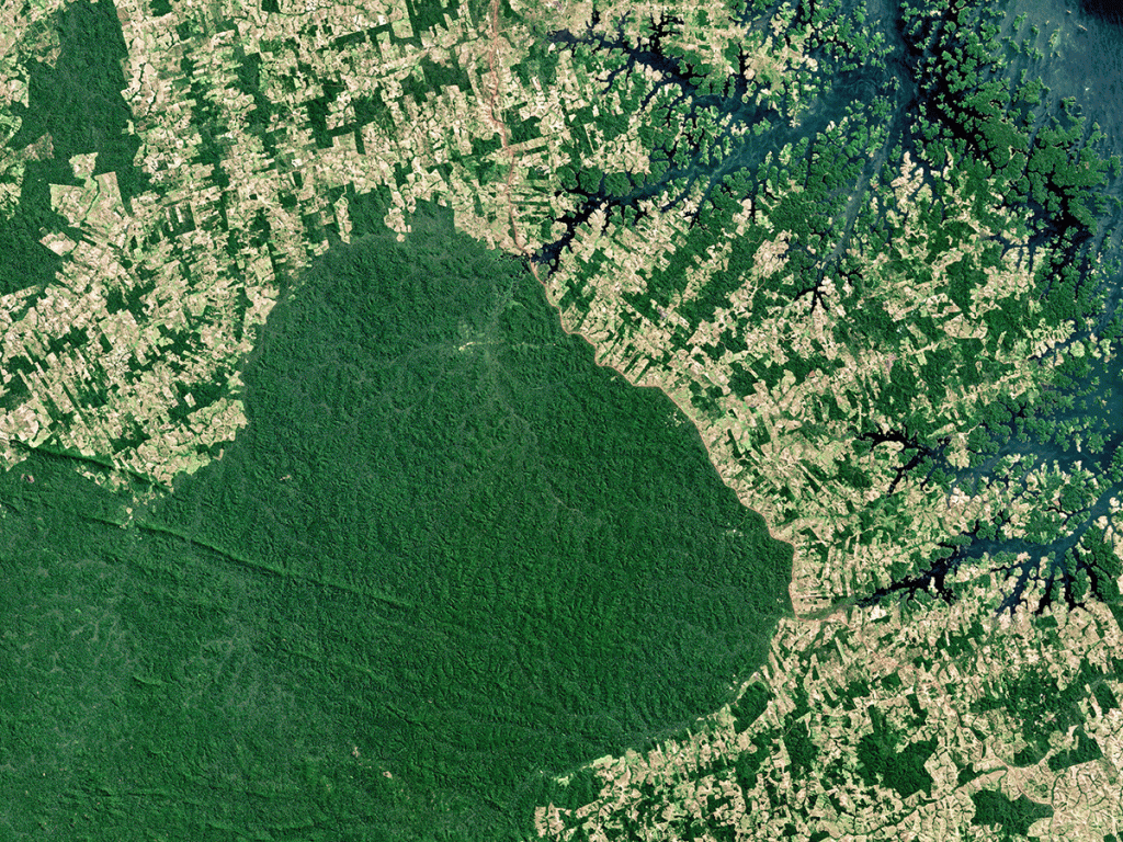 Relatório: Amazônia perde em um mês área do tamanho do município do Rio