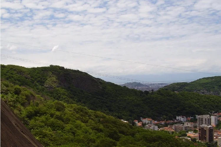 Reserva Florestal do Grajaú: fogo voltou a se alastrar e exigiu nova investida dos bombeiros neste domingo (WikiMedia/Wikimedia Commons)