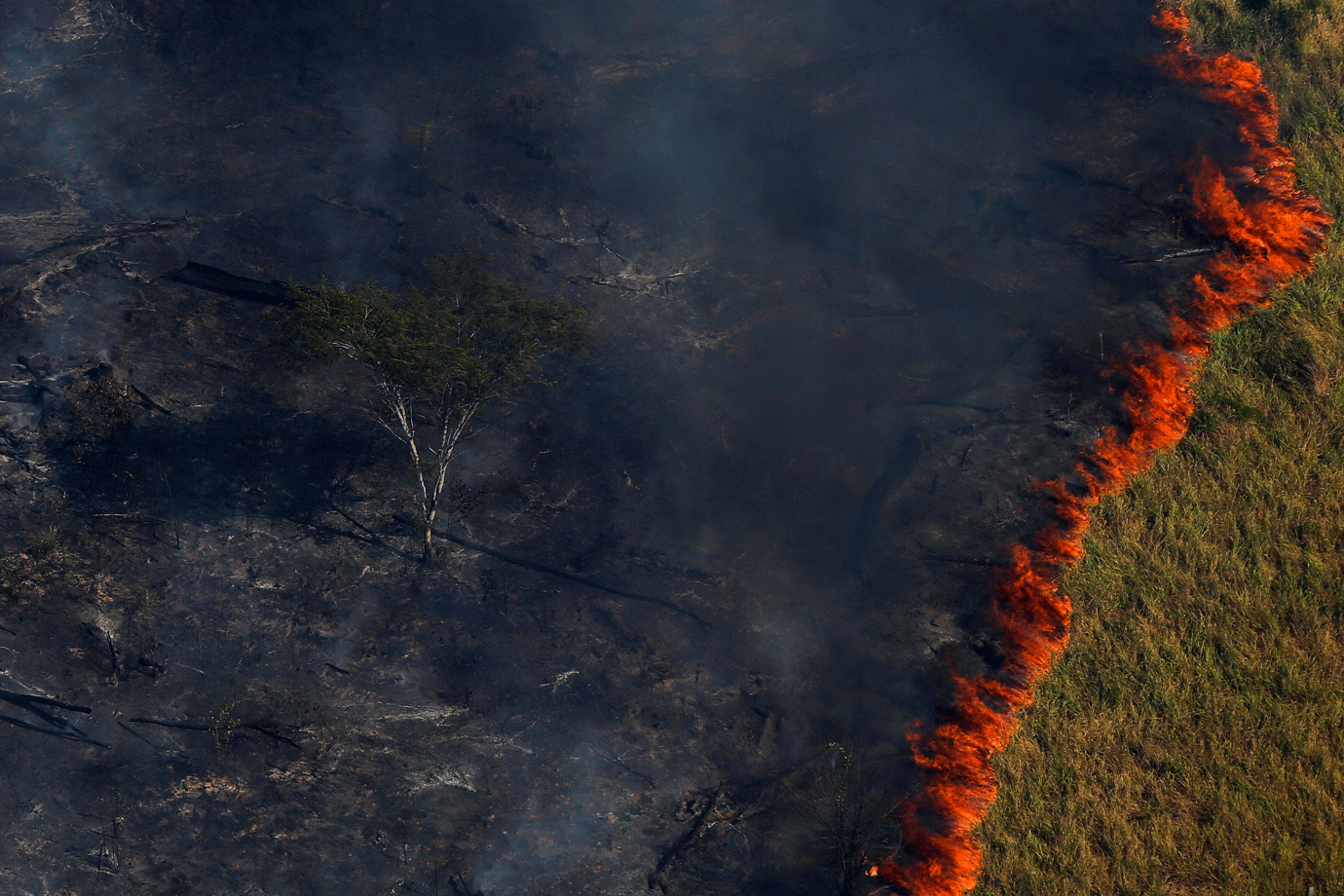 Bolívia contrata maior avião tanque do mundo para combater incêndios