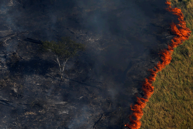 Incêndios: florestas na Bolívia estão em chamas (Bruno Kelly/Reuters)