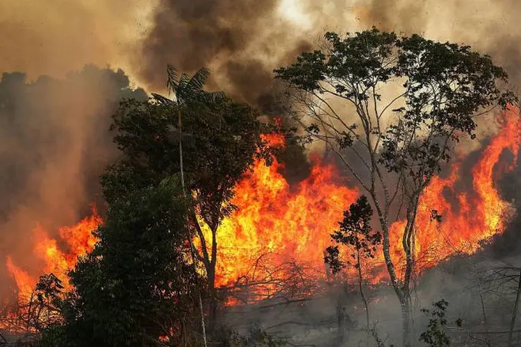 Incêndio: Jair Bolsonaro culpou ONGs por aumento das queimadas (Mario Tama / Equipe/Getty Images)