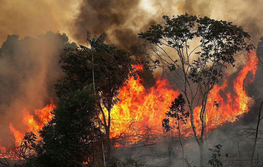 Incêndio florestal no bioma amazônico: desmatamento ilegal e clima seco contribuem para alta. (Mario Tama / Equipe/Getty Images)