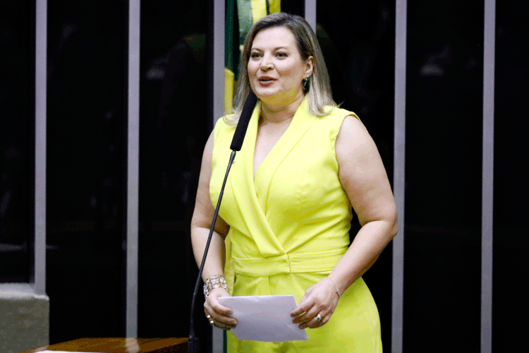 Joice Hasselmann: deputada pode ser a candidata do PSL à Prefeitura de São Paulo (Luis Macedo/Agência Câmara)